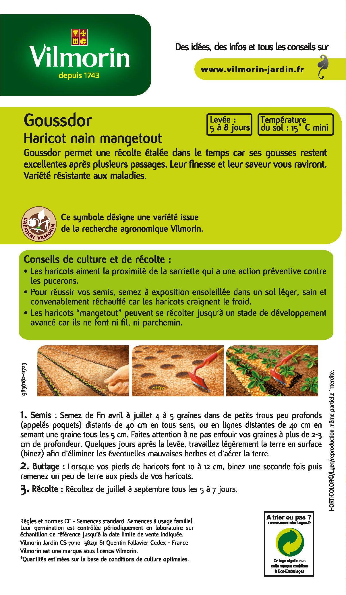 Vilmorin - Haricot Goussdor création série 2 sachet graines 200 g - Vilmorin - Image 2