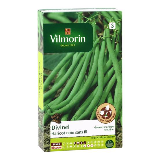 Vilmorin - Haricot divinel création série 3 sachet graines 200 g - Vilmorin - Image 2