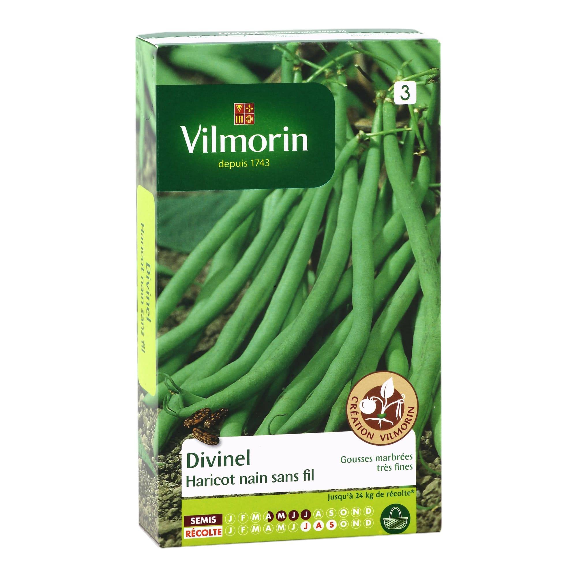 Vilmorin - Haricot divinel création série 3 sachet graines 200 g - Vilmorin - Image 2
