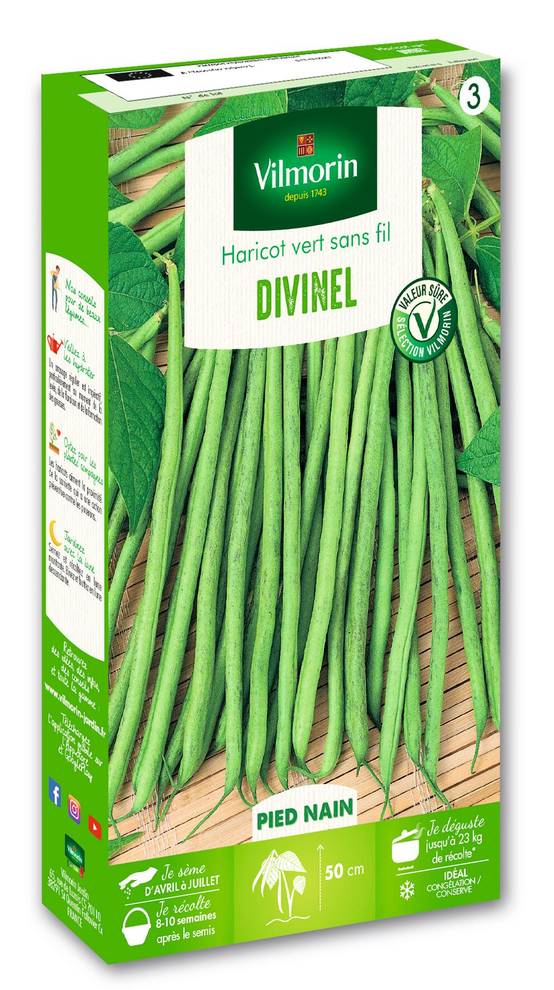 Vilmorin - Haricot divinel création série 3 sachet graines 200 g - Vilmorin - Image 1