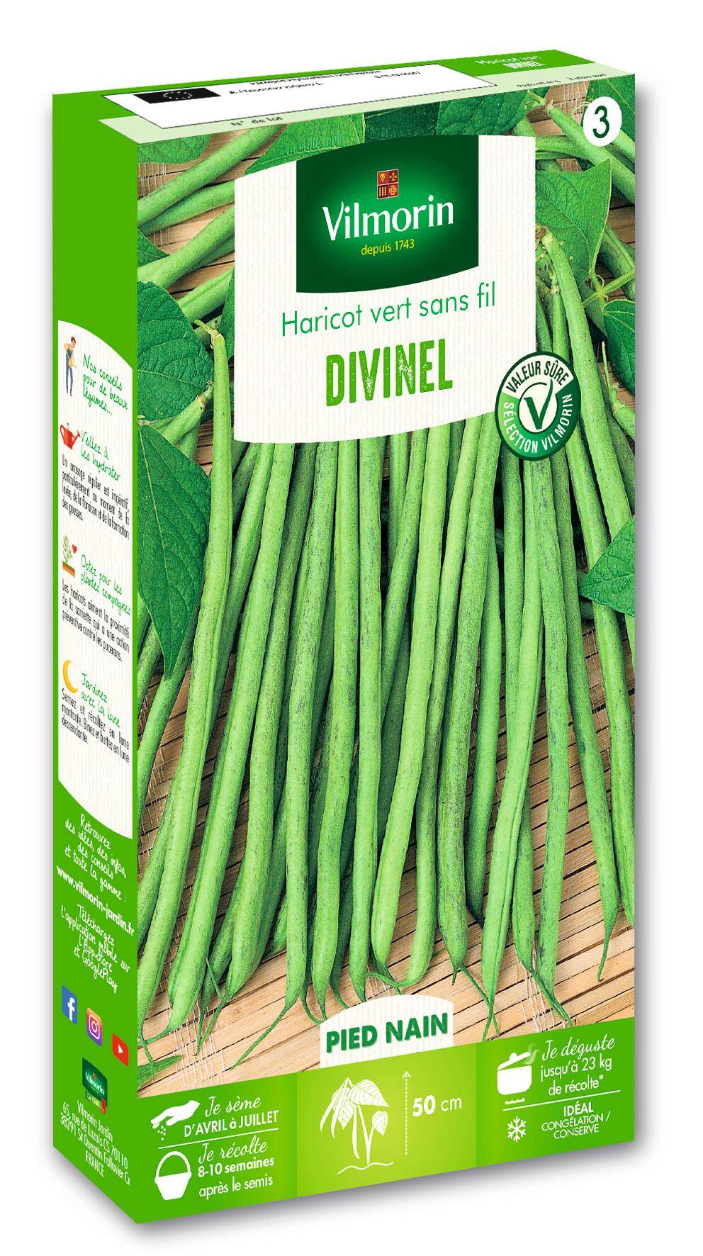 Vilmorin - Haricot divinel création série 3 sachet graines 200 g - Vilmorin - Image 1