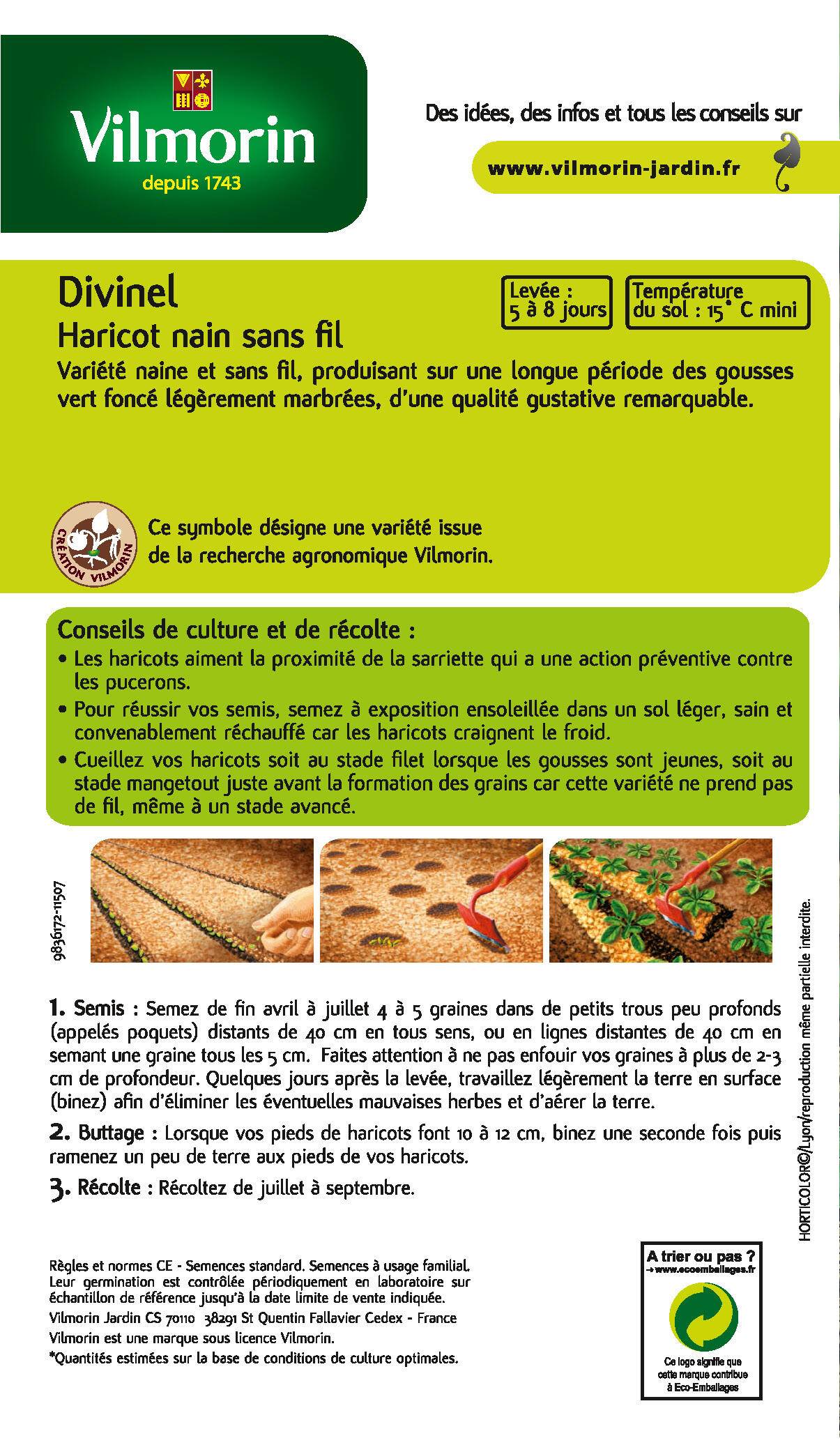 Vilmorin - Haricot divinel création série 3 sachet graines 200 g - Vilmorin - Image 3