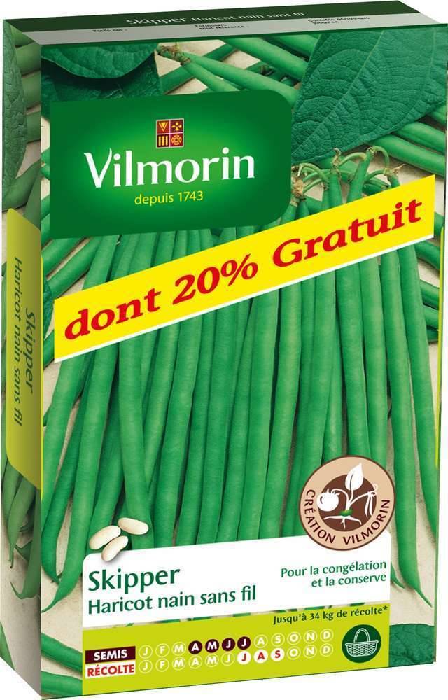 Vilmorin - Haricot Nain Vert Skipper + 20G Gratuit serie 3 boîte graines 220 g - Vilmorin - Image 1