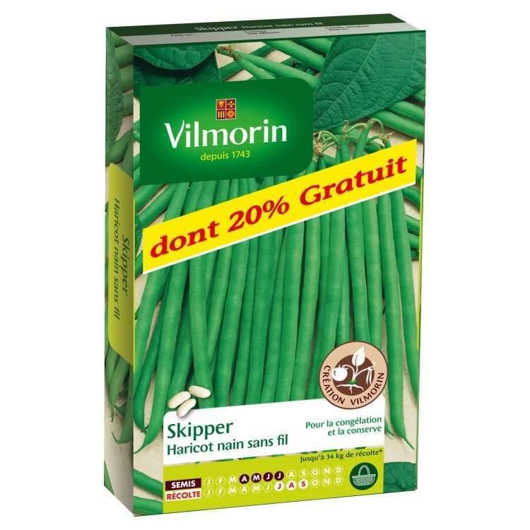 Vilmorin - Haricot Nain Vert Skipper + 20G Gratuit serie 3 boîte graines 220 g - Vilmorin - Image 4