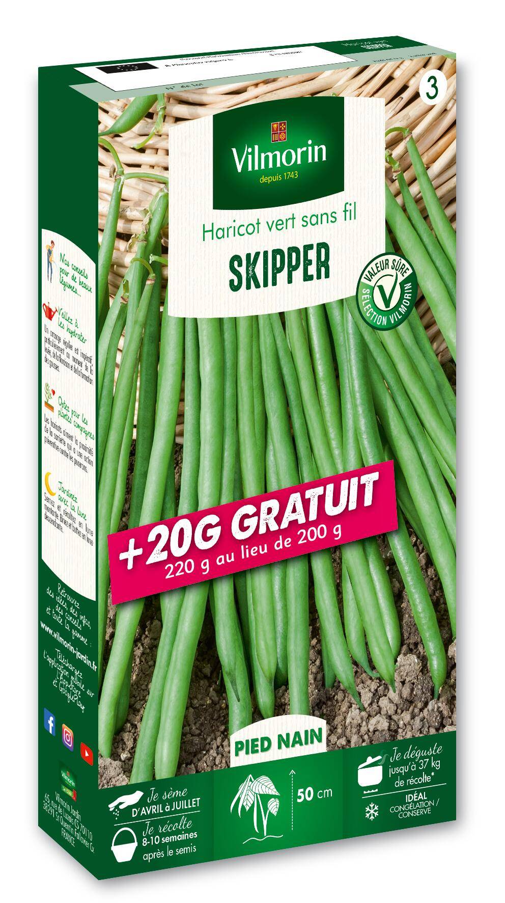 Vilmorin - Haricot Nain Vert Skipper + 20G Gratuit serie 3 boîte graines 220 g - Vilmorin - Image 5