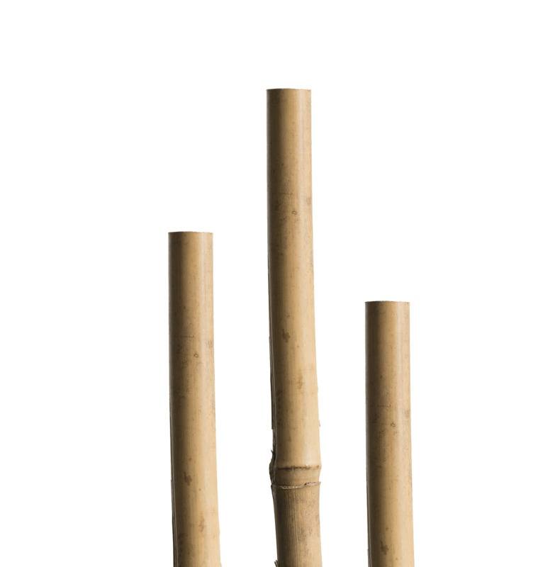 Windhager - Windhager - Tuteur bambou naturel - L.150 x l.1,3 x H.150 cm - Image 1