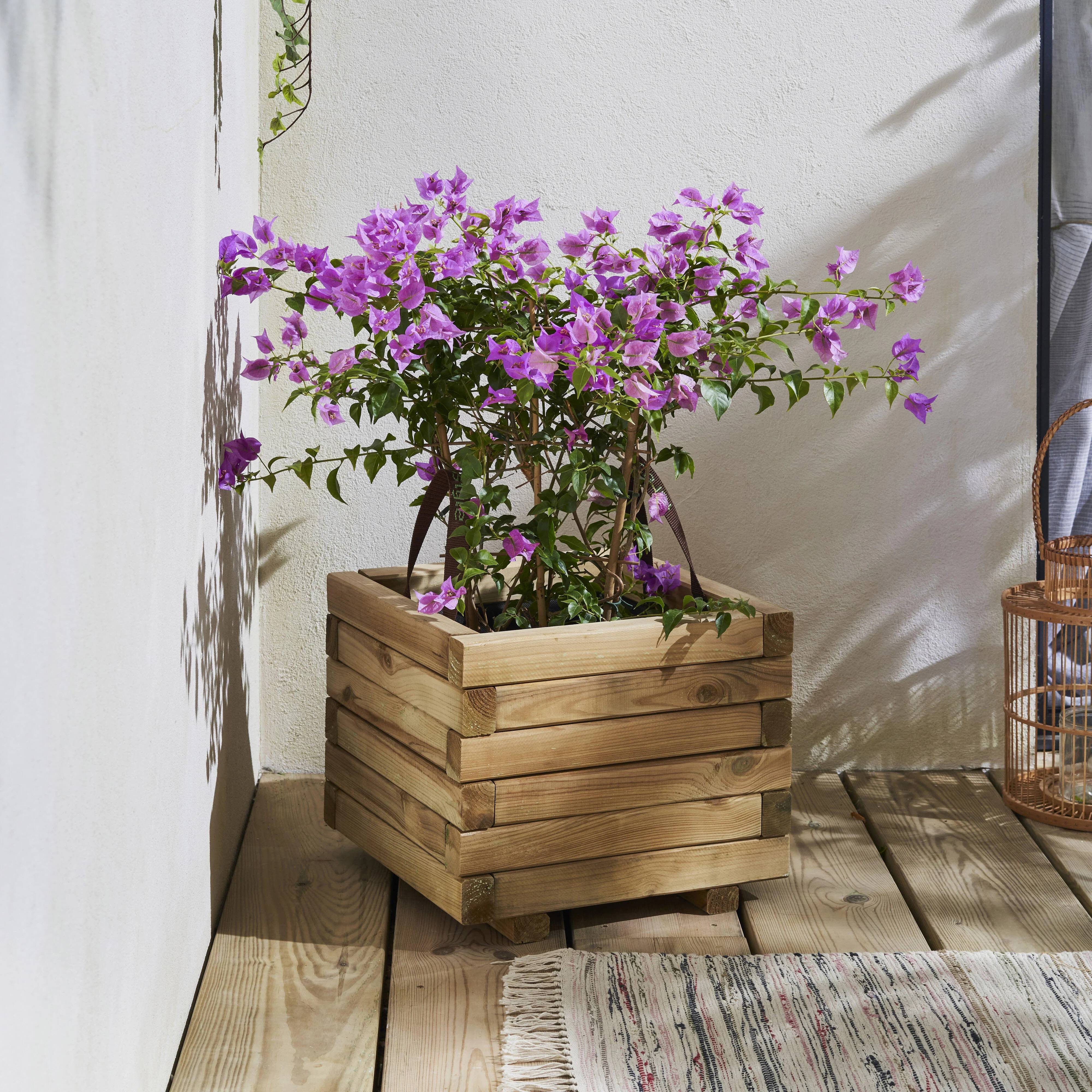 Cerland - Bac à Fleurs - Cerland - Image 5