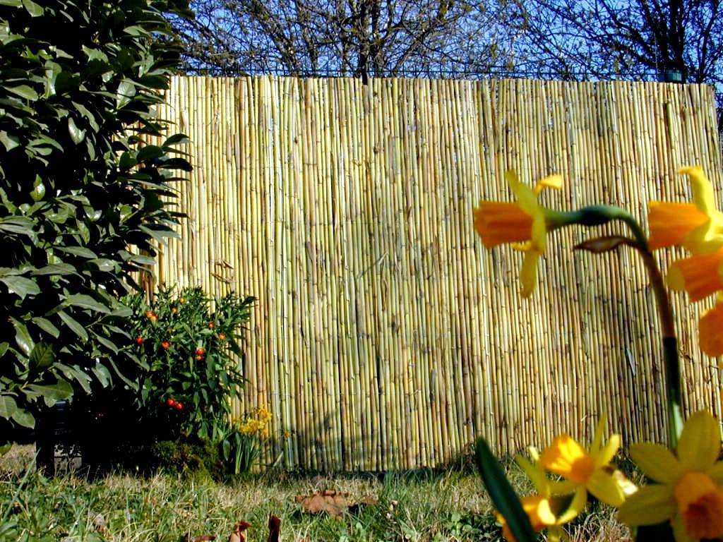 Sicatec - Canisse en bambous refendus 1x5 m - L.500 x l.1 x H.100 cm - Image 2
