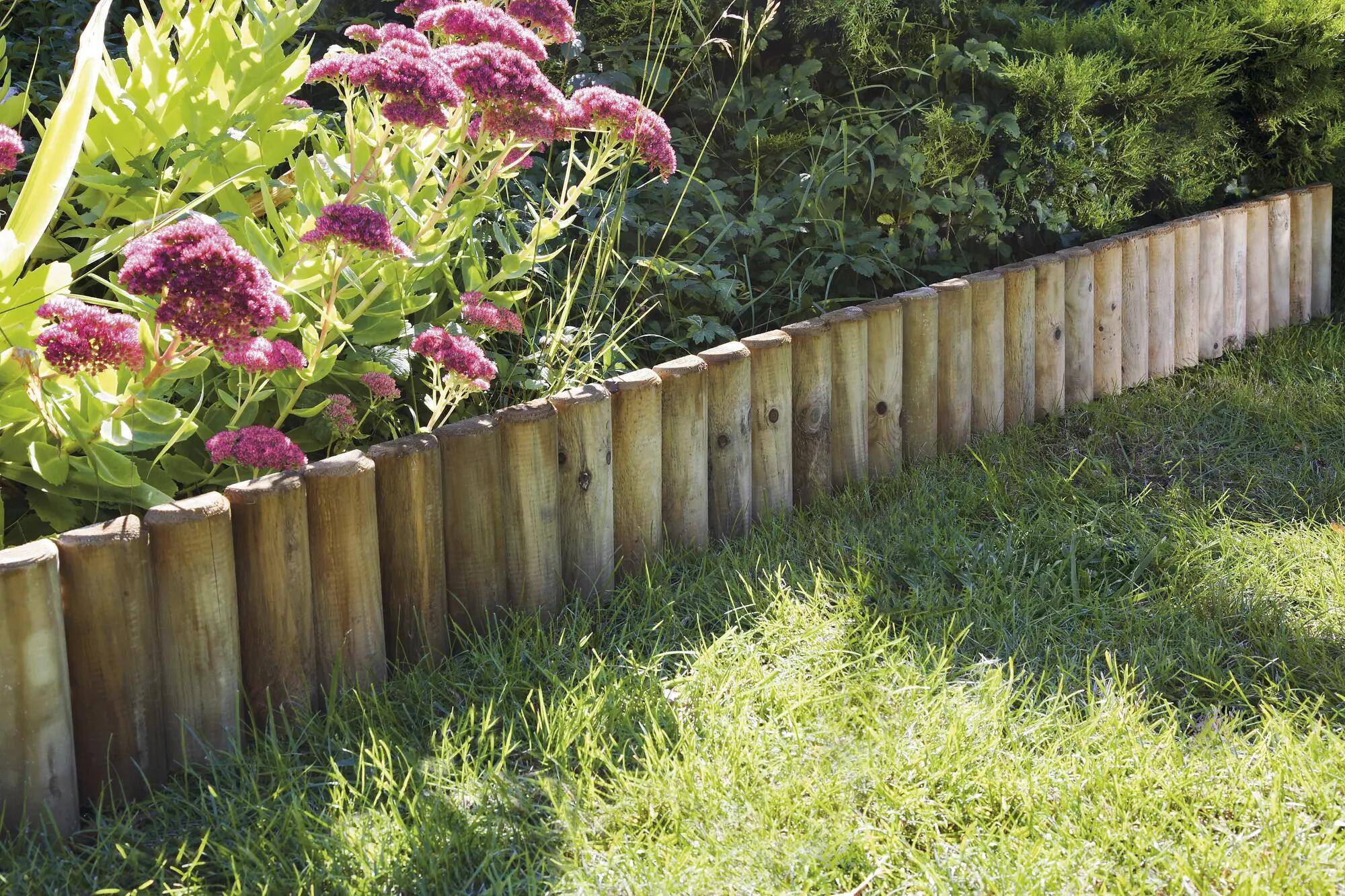 Cerland - Bordure à Planter - Cerland - Image 6