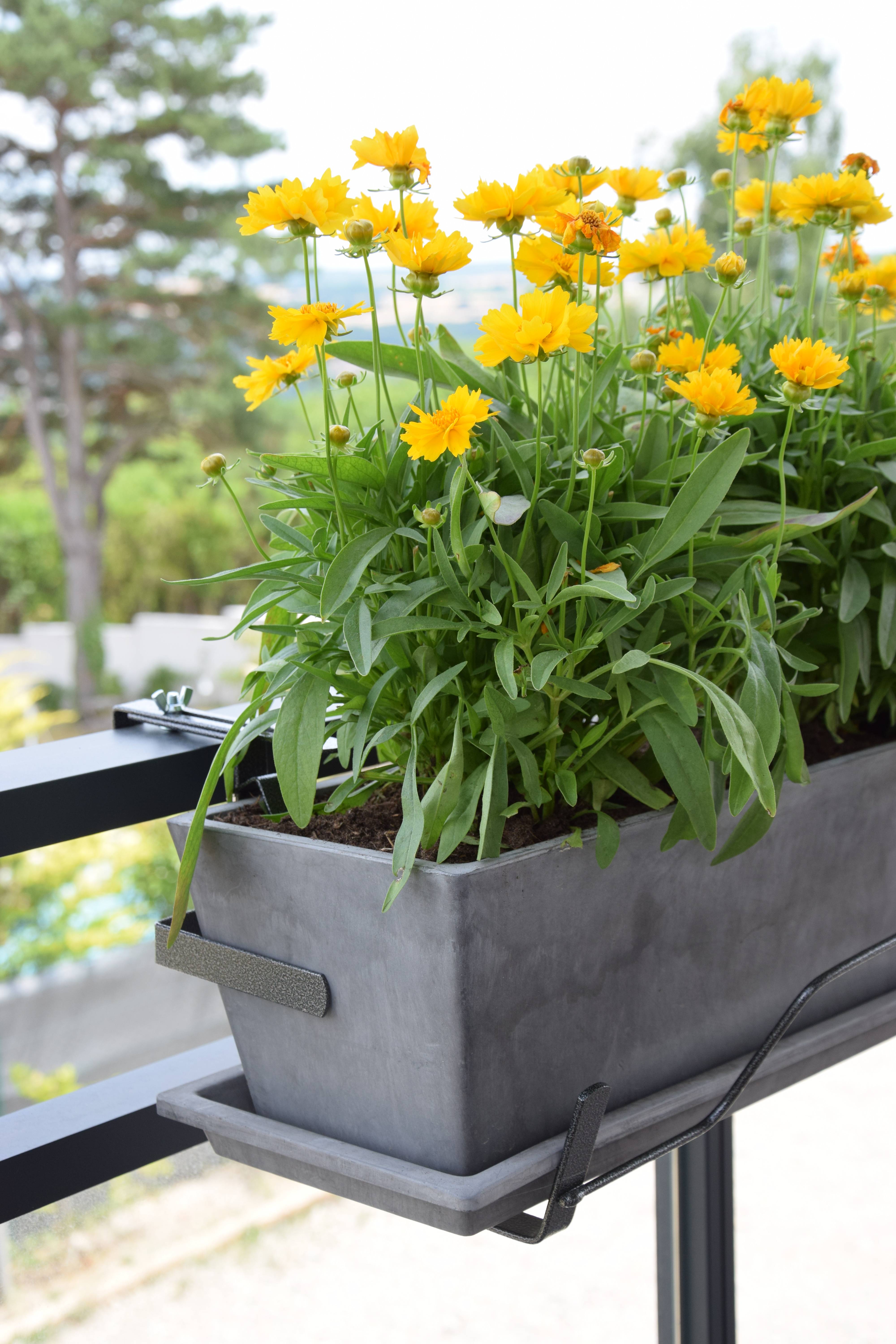 Louis Moulin - Support Jardinière Acier Époxy Anthracite – LOUIS MOULIN - Image 3
