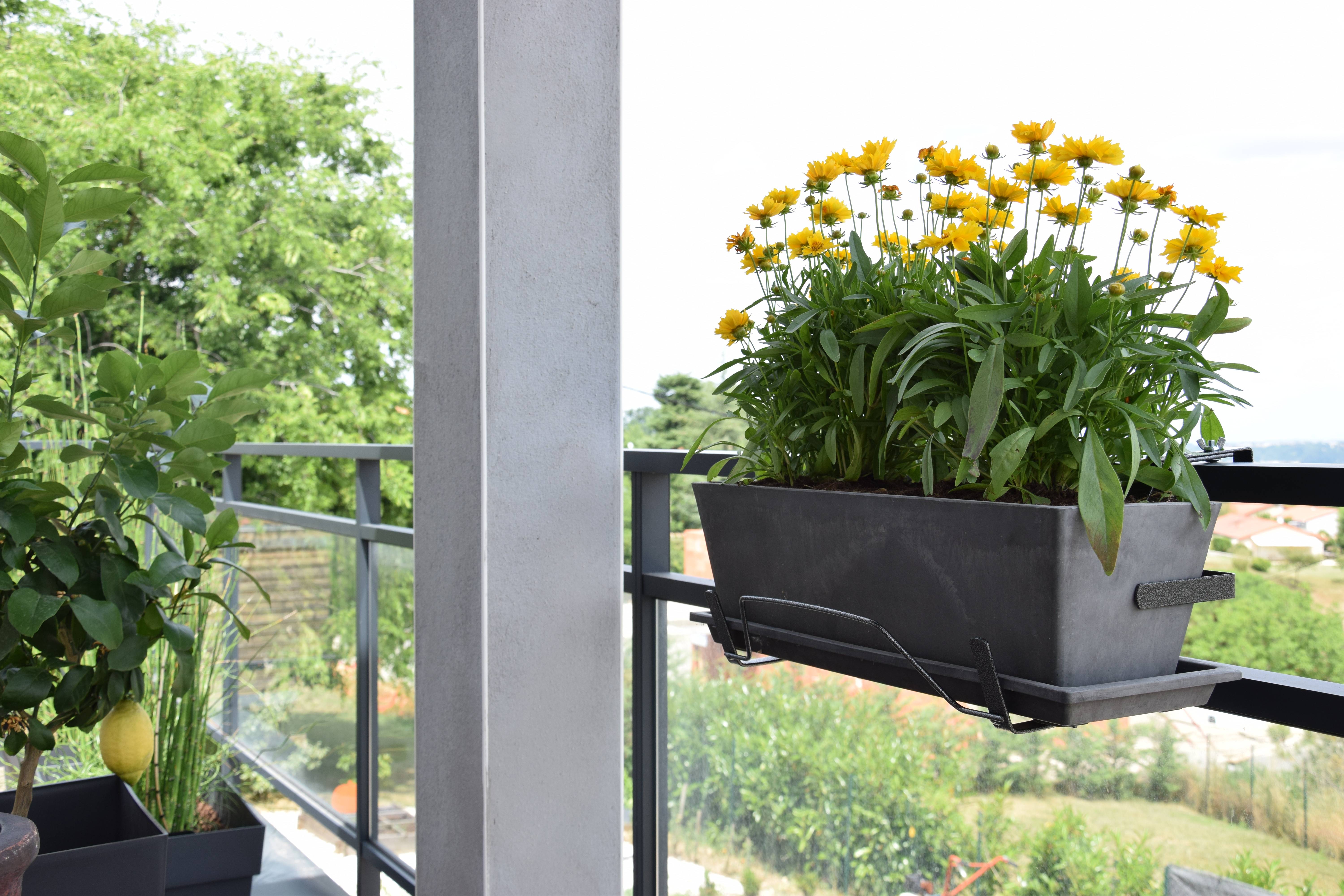 Louis Moulin - Support Jardinière Acier Époxy Anthracite – LOUIS MOULIN - Image 2