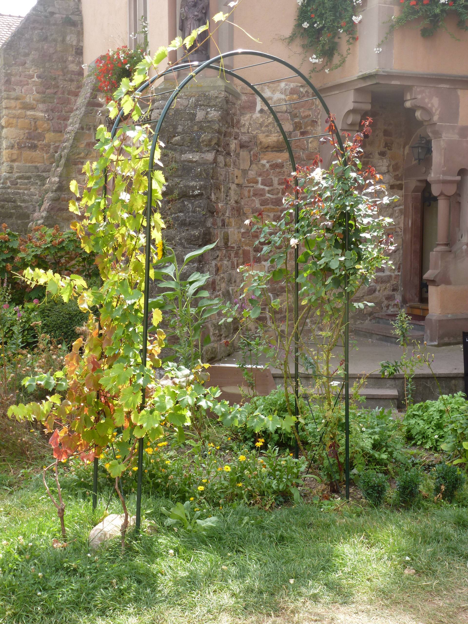 Louis Moulin - Arche de Jardin Acier Époxy - LOUIS MOULIN - Image 3
