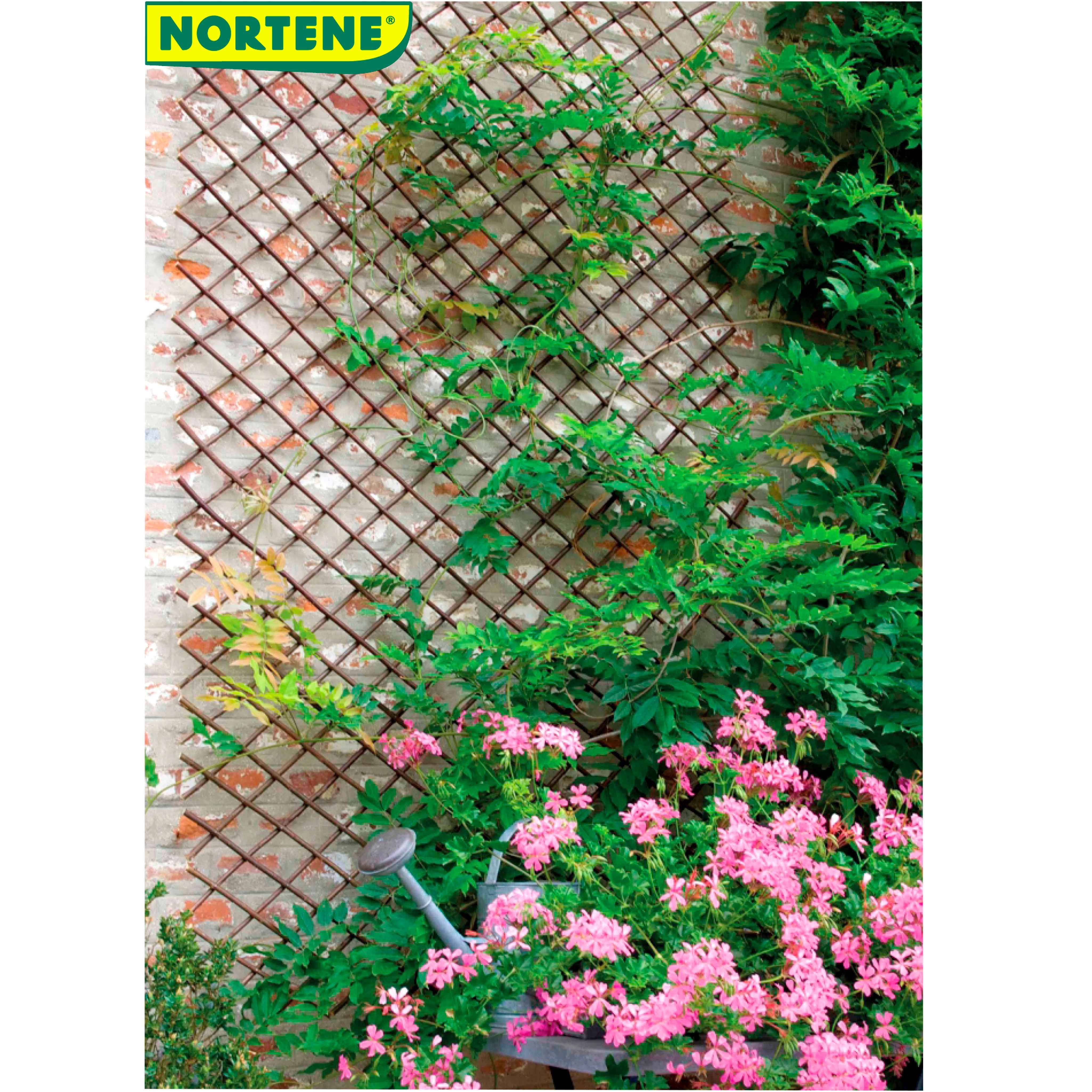 Nortène - Treillis en osier Willow Trellis H. 200 cm - Image 2