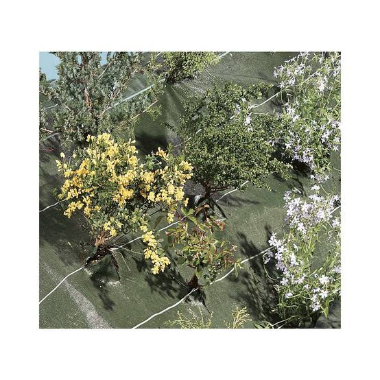 Nortène - Toile de paillage Polypropylène Vert 1,25 x 20 m – AGROSOL - Image 5