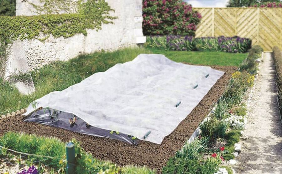 Nortène - CLIMATEX  Voile de croissance P17 blanc 2x10m