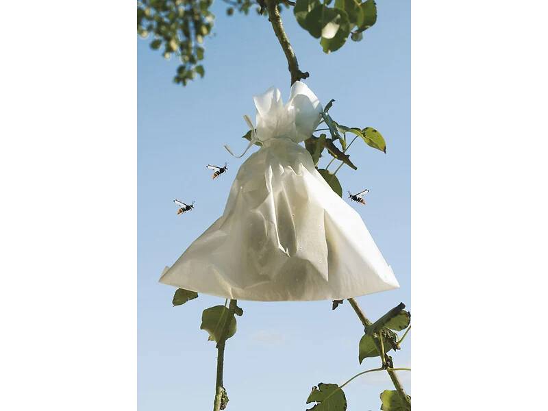 Nortène - Housses microperforées en papier blanc 20 x 30 cm – FRUITSAC - Image 2