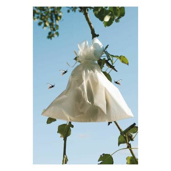 Nortène - Housses microperforées en papier blanc 20 x 30 cm – FRUITSAC - Image 3