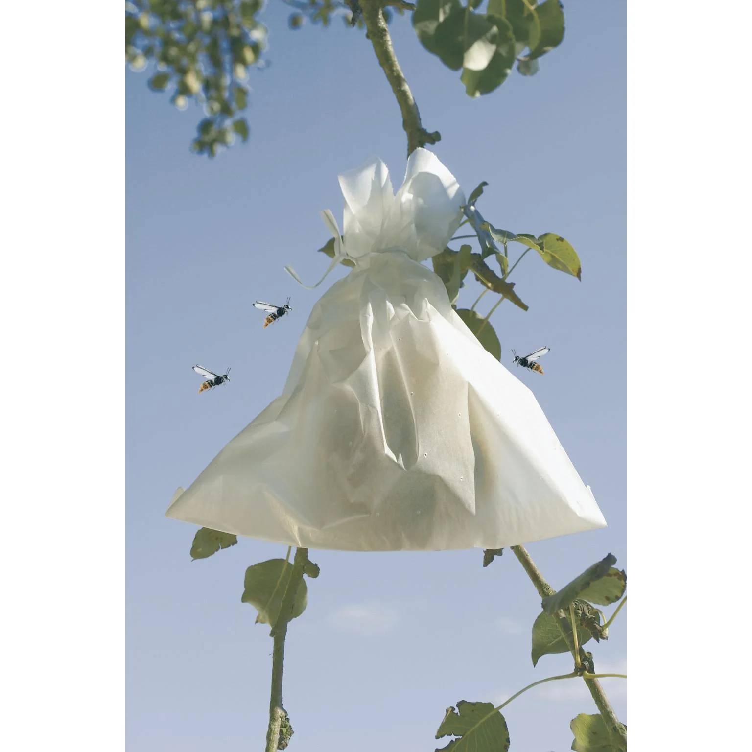 Nortène - Housses microperforées en papier blanc 20 x 30 cm – FRUITSAC - Image 4