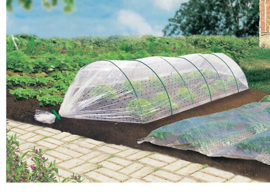 Nortène - CLIMAIRFILM Film de forçage perforé LDPE ntransparent 2x10m - Image 1