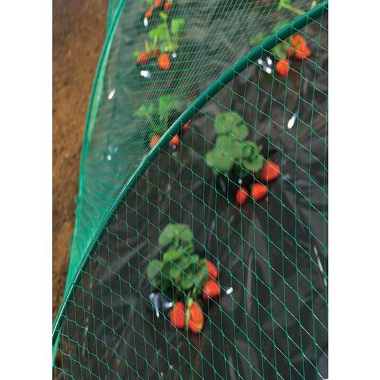 Nortène - Birdnet - Filet de protection oiseaux L.10 x l.8 m - Image 7