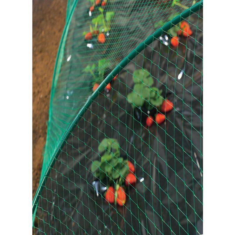 Nortène - Birdnet - Filet de protection oiseaux L.10 x l.8 m - Image 7