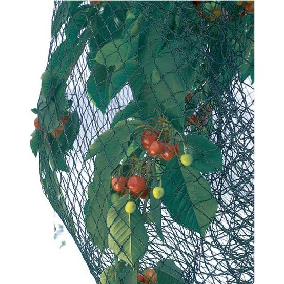 Nortène - Filet de protection PE tricoté vert 5 x 6 m maille 25 x 25 mm - PRONET - Image 1