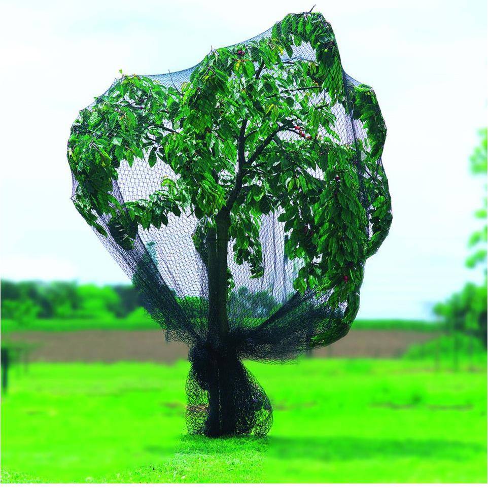Nortène - Filet de protection PE tricoté vert 5 x 6 m maille 25 x 25 mm - PRONET - Image 2