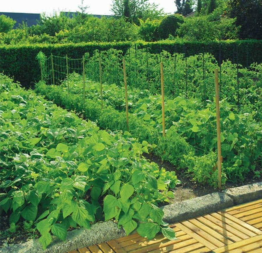 Nortène - Filet à ramer Trellinet vert 1 x 5 m