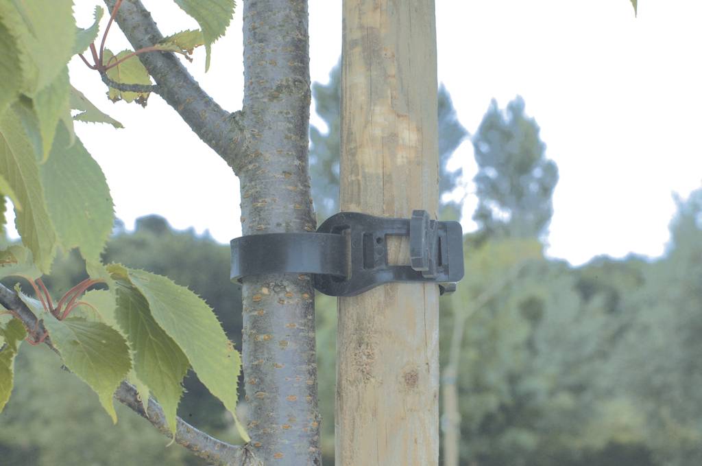 Nortène - Collier Arbre Résistant Élastique - NORTENE - Image 1