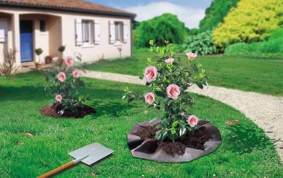 Nortène - TERRAPLANT Feutre plantation pour terre de bruyère 1,50x6m - Image 1