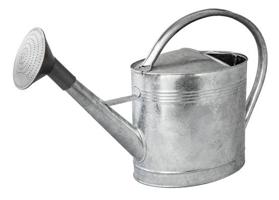 Guillouard - Arrosoir ovale acier galvanisé à chaud avec pomme 13 L - Image 4