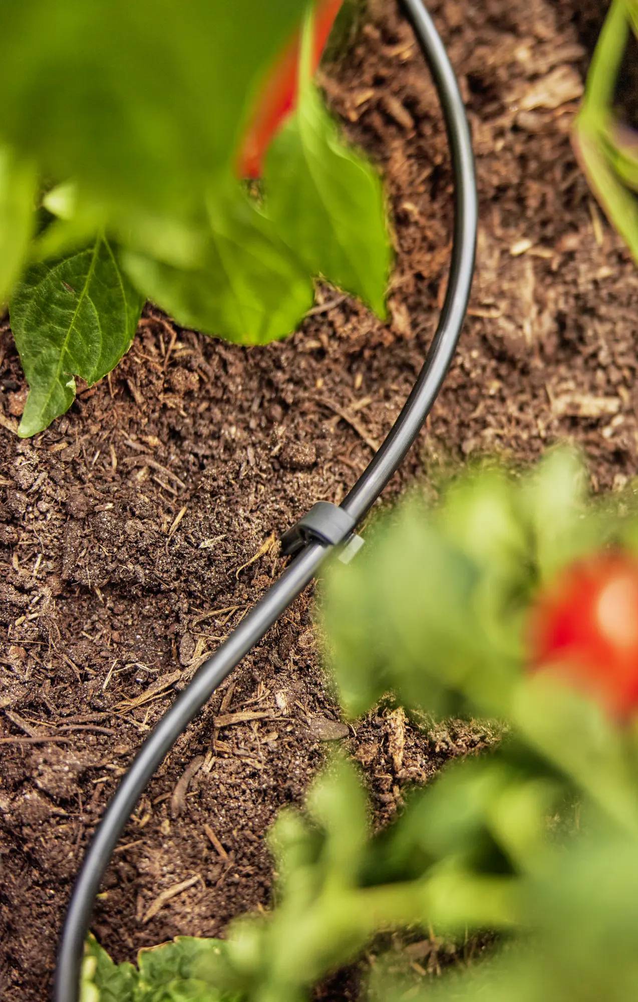 Gardena - Tuyau Micro-Drip polyéthylène Ø 4,6 mm L 15 m – Gardena - Image 5
