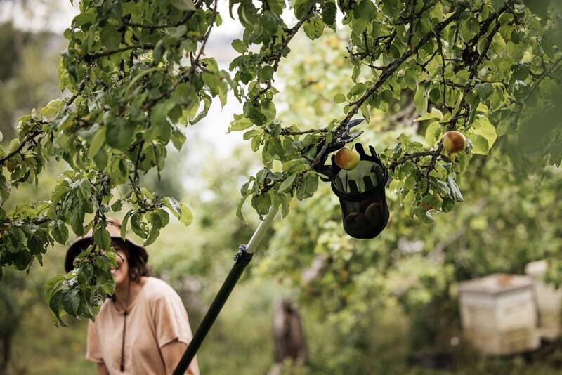 Fiskars - Fiskars - Cueille-fruits UP80 pour coupe-branches multifonctions - Image 7