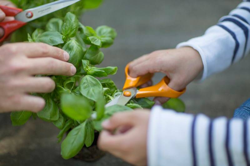 Fiskars - Fiskars - Ciseaux de jardin S90 21 cm, droitiers - Image 2