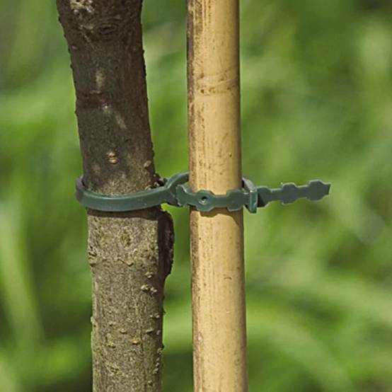Nortène - Liens plastique jardin vert 35 cm lot de 20 NORTENE - Image 3