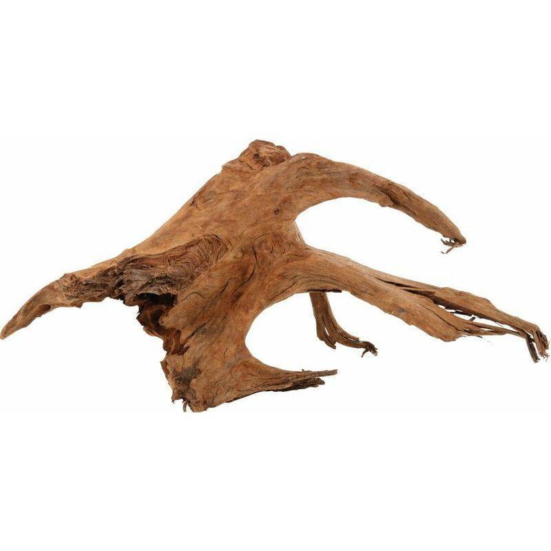 Zolux - Racine mangrove décoration aquarium 40-60cm - ZOLUX - Image 3