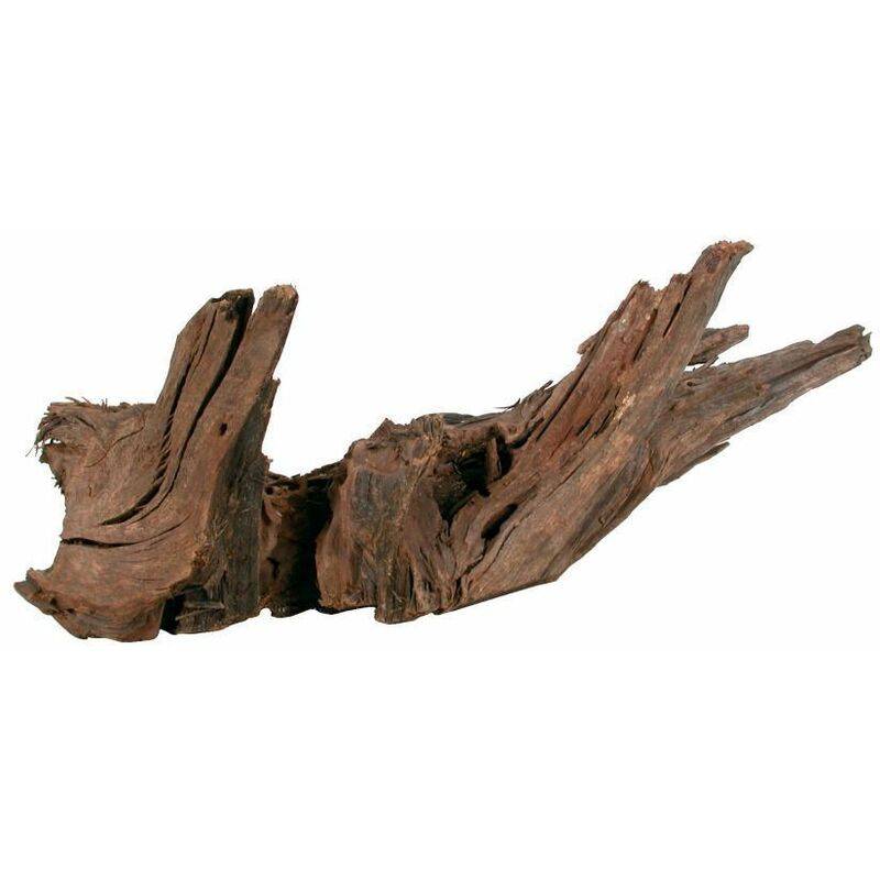 Zolux - Racine mangrove décoration aquarium 40-60cm - ZOLUX - Image 4