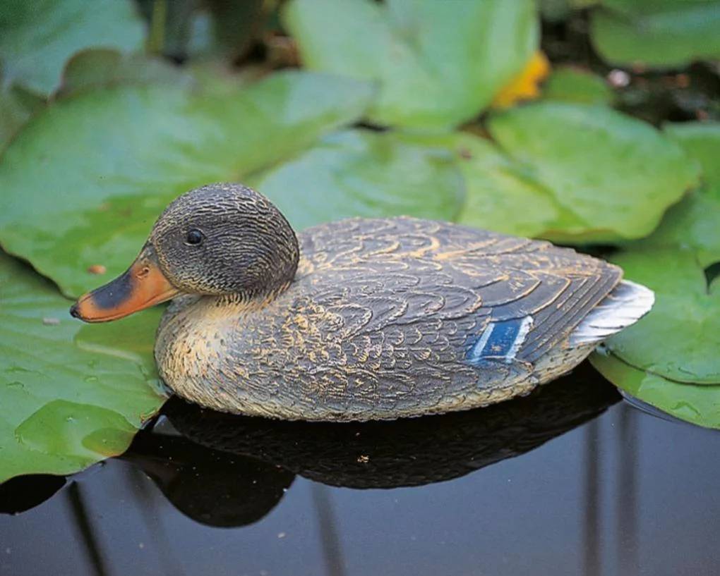 Ubbink - Canard colvert femelle décoratif plastique L 39 cm UBBINK - Image 2