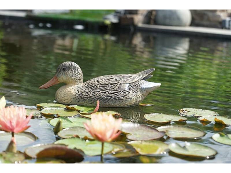 Ubbink - Canard colvert femelle décoratif plastique L 39 cm UBBINK - Image 1