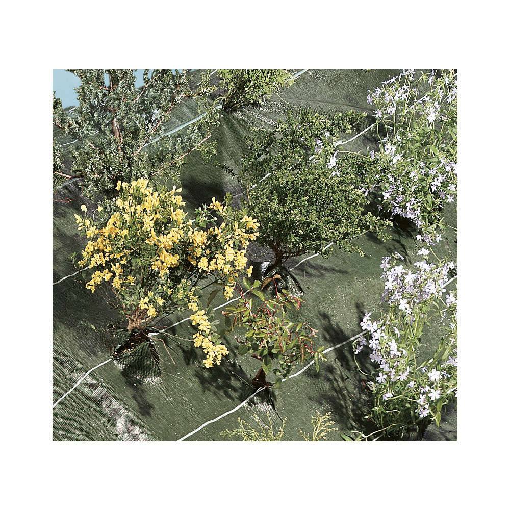 Nortène - Toile de paillage Agrosol vert 2,10 x 20 m - Image 3
