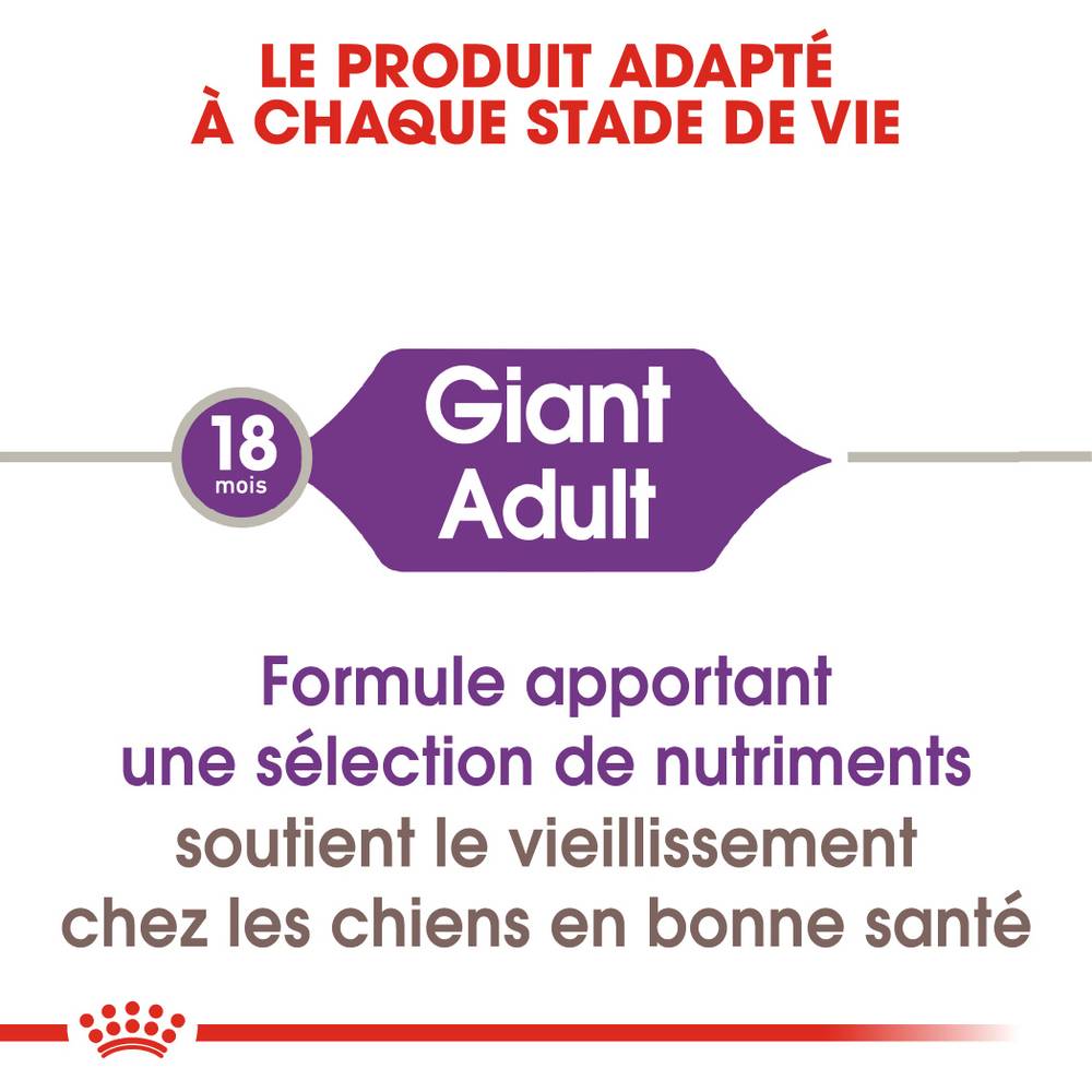 Royal Canin - Croquettes Chien Giant Adult - ROYAL CANIN - Image 4