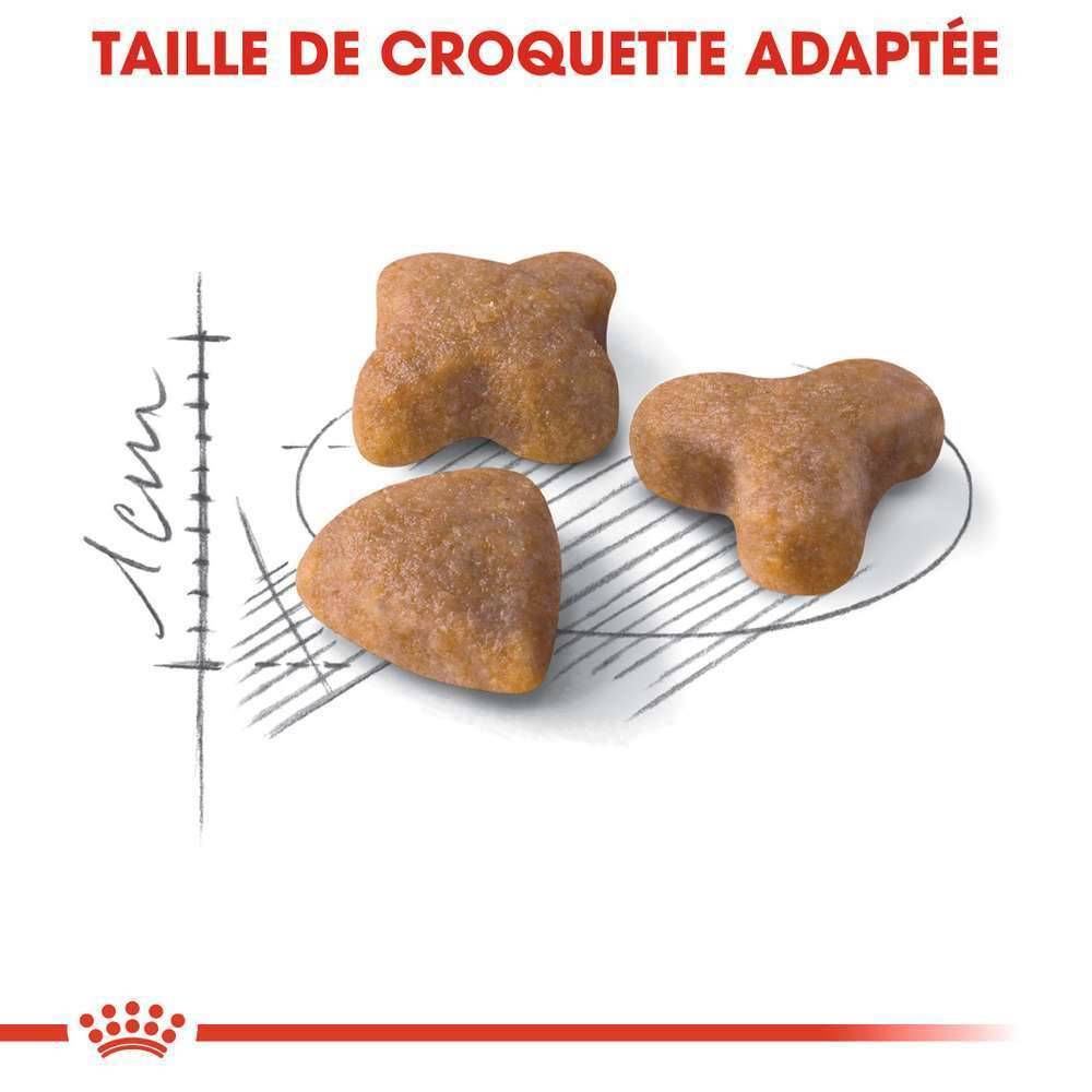 Royal Canin - Croquettes chat adulte sensibilité digestive - ROYAL CANIN - Image 3