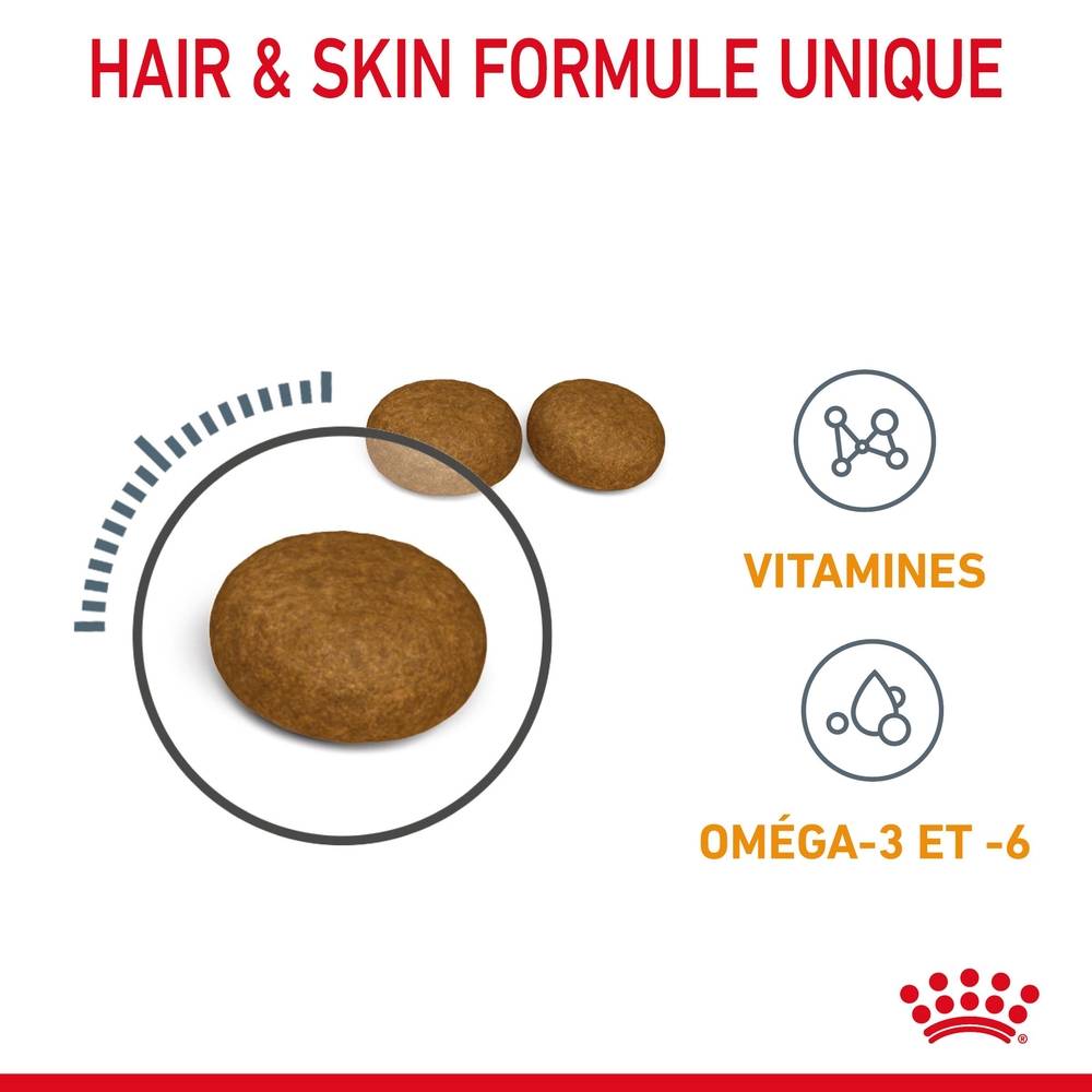 Royal Canin - Croquettes chat - ROYAL CANIN - Image 3