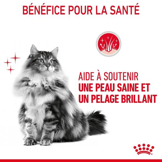 Royal Canin - Croquettes chat - ROYAL CANIN - Image 4