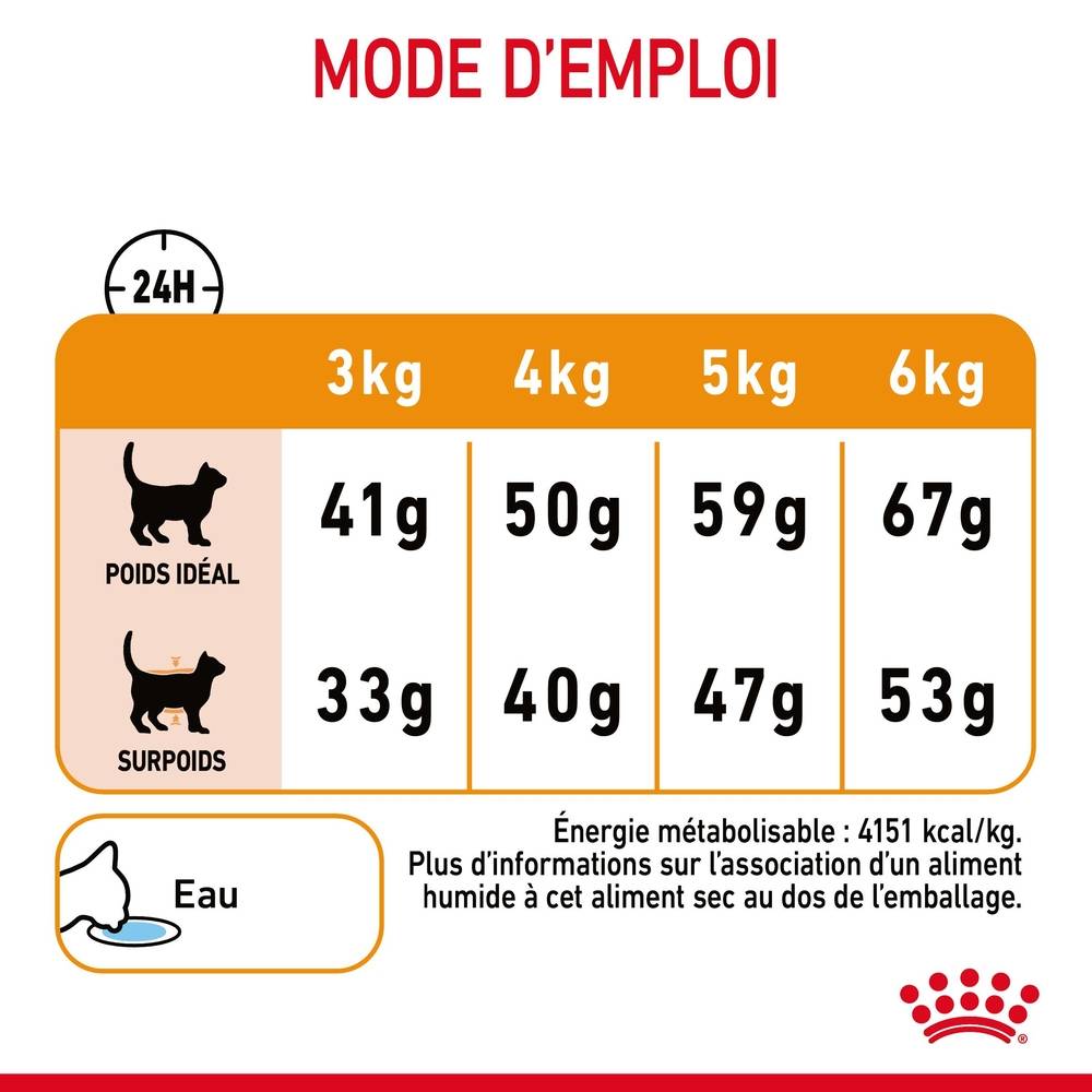 Royal Canin - Croquettes chat - ROYAL CANIN - Image 5