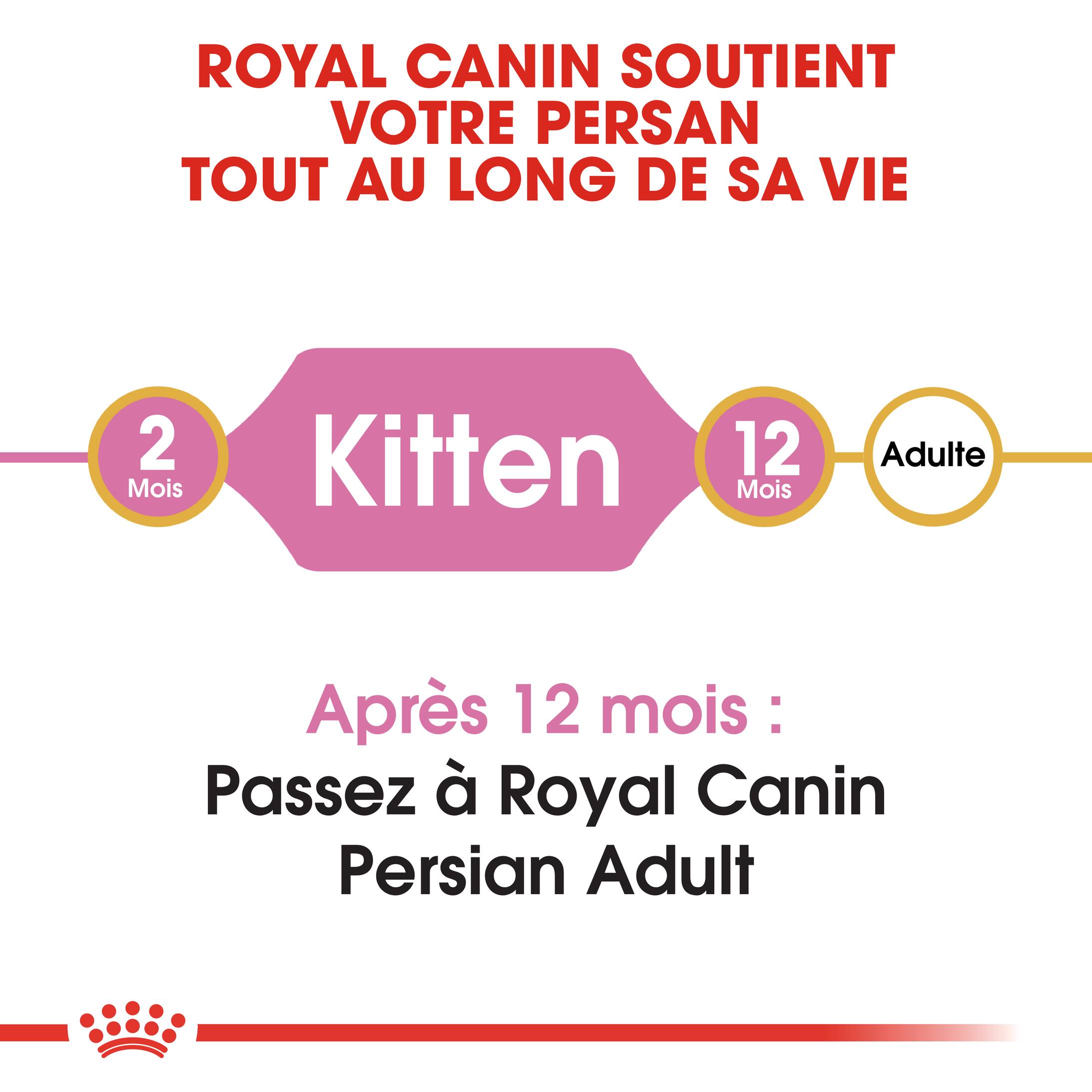 Royal Canin - Croquettes chat Persian Kitten – ROYAL CANIN - Image 2
