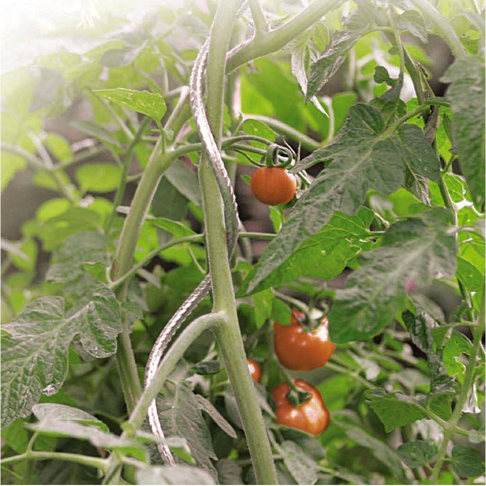Nortène - Tuteur tomate spirale ø0,7 x H180 cm - Image 1