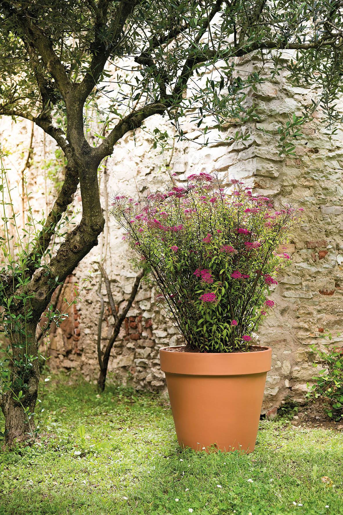 Deroma - Vase Brut Cotto Terre cuite Terre rouge - DEROMA - Image 2
