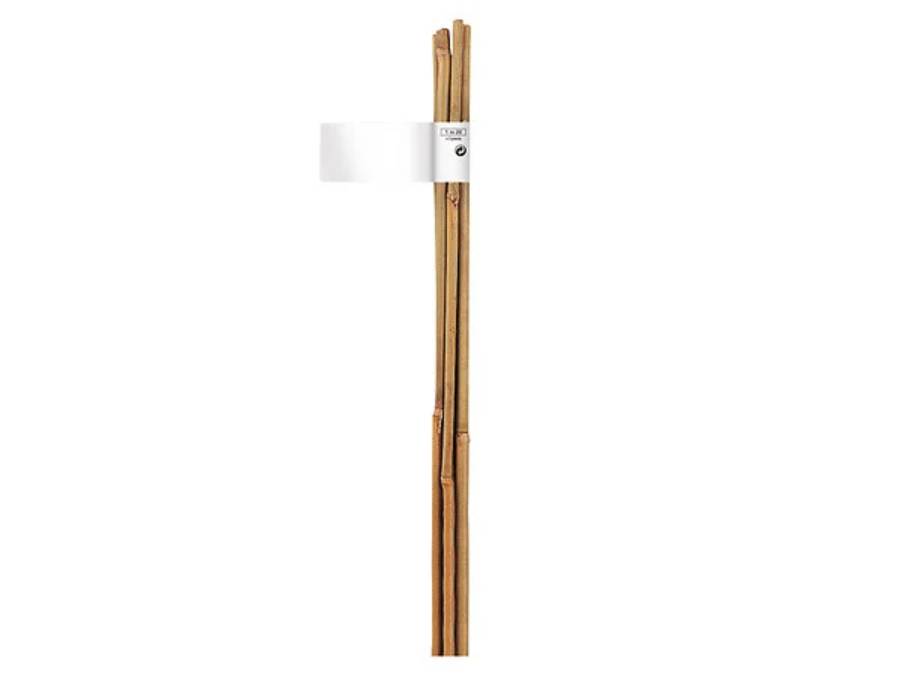 Nortène - BAMBOO Tuteur bambou naturel lot 3 gencodé naturel Ø10/12mmx1,20m - Image 1