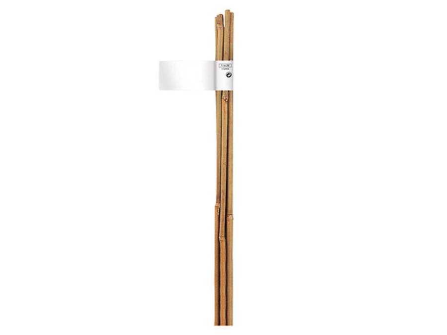 Nortène - Tuteur bambou naturel - NORTENE - Image 1